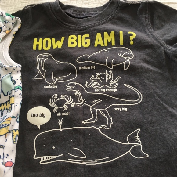 6m (6/$20) Animal-Themed Light Vest and Tee - Picture 9 of 10